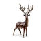Casting Metal Life Size Deer Lawn Ornaments / Bronze Deer Sculpture